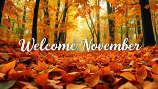 🍂🍁 Welcome November TV Art Screensaver  Cozy Leaves Background 🍂🍁 [upl. by Wilhelmina684]