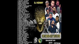 DJ KENNY OPEN MIND ANY WEATHER DANCEHALL MIX APR 2019 [upl. by Noslen332]