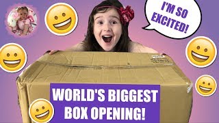 WORLD RECORD BIGGEST REBORN BOX OPENING EVER HOW MANY BABIES ARE THERE [upl. by Ynnij415]