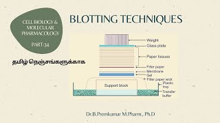 Blotting techniques  CBMP34Tamil [upl. by Wieren]