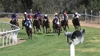 Goondiwindi 09092023 Race 1 [upl. by Varuag412]