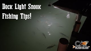 Dock Light Snook Fishing Tips  Flats Class [upl. by Rorrys]