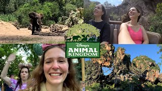 Animal Kingdom Vlog Disneyworld Florida [upl. by Bethezel]