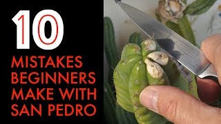 10 Mistakes Beginners Make With San Pedro Cactus [upl. by Atilahs]