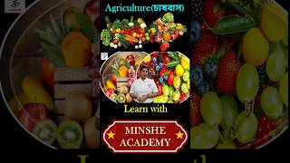 What are the different classifications of agriculture minsheacademy minshe geography [upl. by Kleon866]