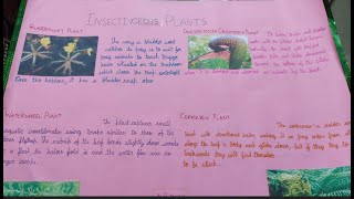 EVS ACTIVITY  INSECTIVOROUS PLANTS  GRADE 5 ACTIVITY  CHART WORK ON INSECTIVOROUS PLANTS EXAMPLES [upl. by Notgnirrac337]