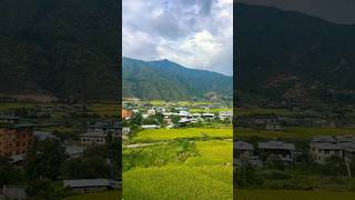 Don’t miss this place when you visit Bhutan song music bhutan shortvideo punakha reels [upl. by Bodwell]