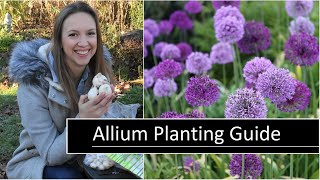 Allium Planting Guide  How to Plant Grow and Care for Allium Flowers  Northlawn Flower Farm [upl. by Eelytsirk728]