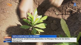 500 plantas endémicas plantadas no Parque Natural da Serra Malagueta [upl. by Ellerahc]