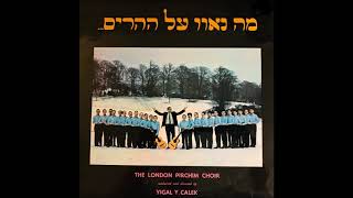 The London Pirchim Choir  מה נאוו על ההרים [upl. by Salkcin]