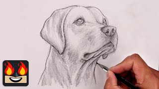 How To Draw a DOG  YELLOW LAB Sketch Tutorial [upl. by Ahsad]