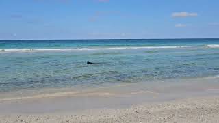 CUBA  Guanabo beach right on our doorstep December 2023 [upl. by Brott]