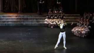 Sergei Polunin  Don Quixote 14122012 [upl. by Reiser]