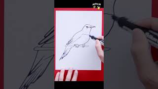 Yellowhammer Bird drawing [upl. by Remy]