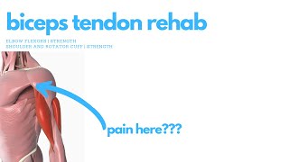 Biceps Tendon Rehab [upl. by Trebliw]