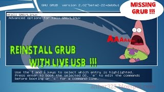 Reinstall Grub KALI LINUX [upl. by Ilrebmyk]