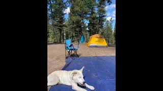 Video of Dispersed Camping  Pike National Forest Divide CO from Linnell W [upl. by Adelia]