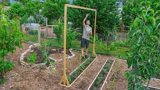 How to Build a Tomato Trellis Using Only ONE PIECE of WOOD CHEAP and EASY Backyard Gardening [upl. by Magavern593]