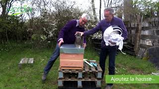 Quel MATÉRIEL pour DÉMARRER une RUCHE au JARDIN  🐝 [upl. by Yreva]