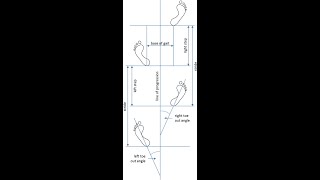 quot GAIT PATTERN ANALYSIS IN PERSPECTIVE OF FORENSIC SCIENCE INVESTIGATION quot [upl. by Melcher]