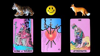 🧚⚡ VITAL MSG FROM THE FAERY REALM  🧚⚡tarot card reading✨pick a card✨channelled messages [upl. by Abrahams]