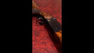 Gun of the Week  Blaser F3 [upl. by Annoyik]