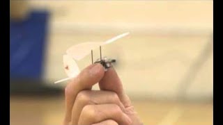 Worlds Smallest Radio Controlled Model Plane [upl. by Ester]