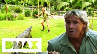 Steve Irwin Relocates Australia Zoos Crocodiles  Crocodile Hunters The Best Of Steve Irwin [upl. by Hailee]