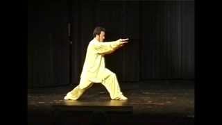 沙国政 Sha Guozheng Wushu Association UK [upl. by Primaveria]