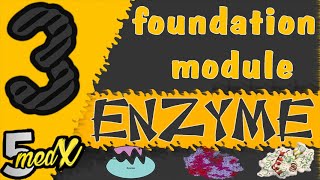 foundation module  Enzyme lecture 3 [upl. by Cohlier]