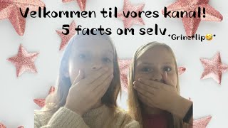 VELKOMMEN TIL VORES KANAL  5 FACTS OM OS Grineflip🤣 [upl. by Nauwtna268]