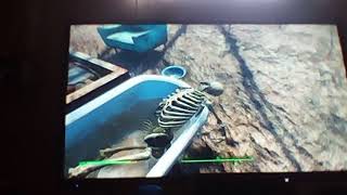 Belle Delphines bathwater in fallout 4 [upl. by Ahsinek]