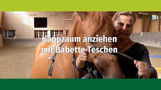 Wie ziehe ich den Kappzaum an Babette Teschen zeigt Dir wie Du es richtig machst [upl. by Llenet]