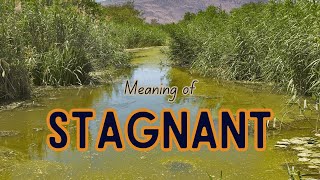 What is the meaning of Stagnant [upl. by Marius]