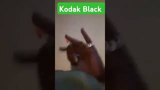 Kodak Black Speaks oh how he still pop perks amp more [upl. by Nylaret487]