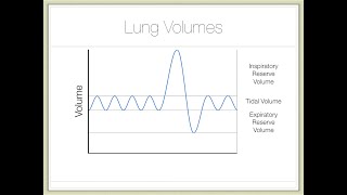 Action of Breathing — Part 2 Volume [upl. by Neela360]