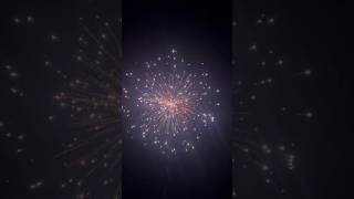 The Most Insane Fireworks Show Ever [upl. by Hoebart]