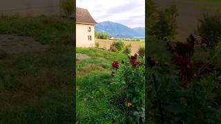 Beautiful Backyard Of My Parents InLaw In Gommiswald Switzerland [upl. by Aihseyk]