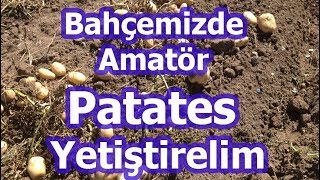 Basitçe Patates Nasıl Ekilir Patates Nasıl Yetişir [upl. by Fakieh]