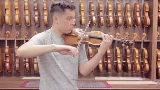 Johannes Theodorus Cuypers The Hague 1792  Violin Demonstration [upl. by Nytsyrk]