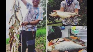 🐟 Pesca de sabaletas en la represa Daule Peripa Ecuador con Kayak 2018 [upl. by Rosabel355]