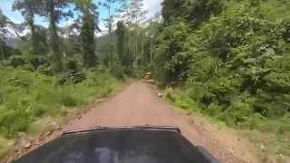 Drive to Borneo Rainforest Lodge Danum Valley Sabah East Malaysia [upl. by Leterg]