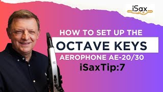 iSaxTip 7 How to set the octave key range on the Roland Aerophone [upl. by Minardi614]