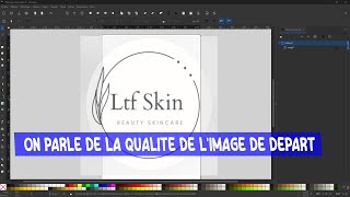 On Parle de La Qualité de lImage de Départ dans la vectorisation [upl. by Rexferd]