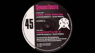 Synaesthesia Feel The Dream 1992 [upl. by Ivey]