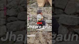 PIKEY PEAK BASE CAMP  JHAPRE GAUN  cute kidoo trekking pikey mountains [upl. by Fransen]