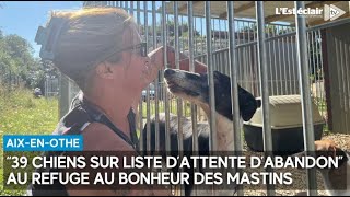 quot39 chiens sont sur liste d’attente d’abandonquot au refuge Au Bonheur des mastins à AixenOthe [upl. by Euqenimod586]