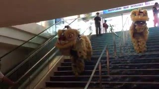 Lion dance at Aquaria KLCC entrance [upl. by Nyer]