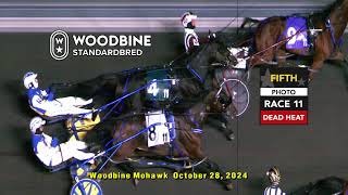 Woodbine Mohawk Park Live Stream  Monday October 28 2024 [upl. by Koser]