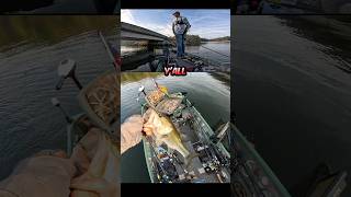 Fall Alabama Rig Fishing gonefishingwithed poebassin [upl. by Aniahs920]